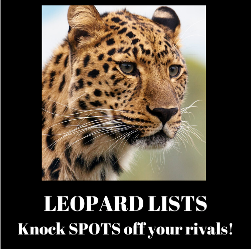 Leopard Lists Review
